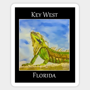 Key West Florida Iguana - WelshDesigns Sticker